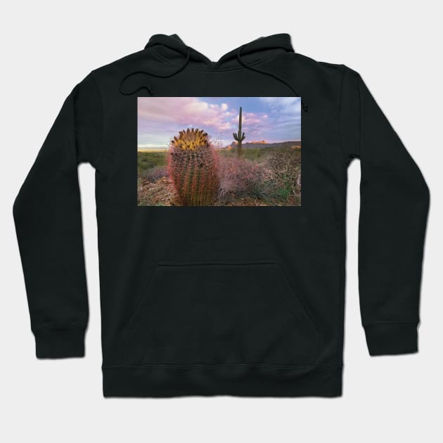 Saguaro And Giant Barrel Cactus With Panther And Safford Peaks In Distance Saguaro National Park Hoodie by RhysDawson